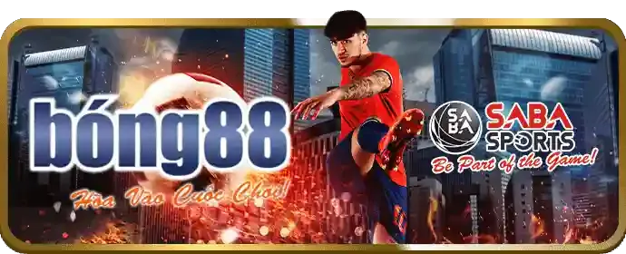 Hoàn trả hàng ngày bk888 chính thức